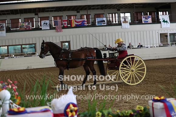 CA_Springfest19_SatAM_0786