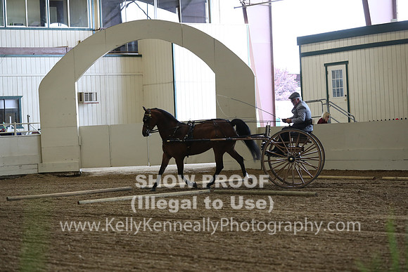 CA_Springfest19_SatAM_0787