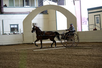 CA_Springfest19_SatAM_0788