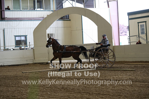 CA_Springfest19_SatAM_0788