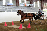 CA_Springfest19_SatAM_0789
