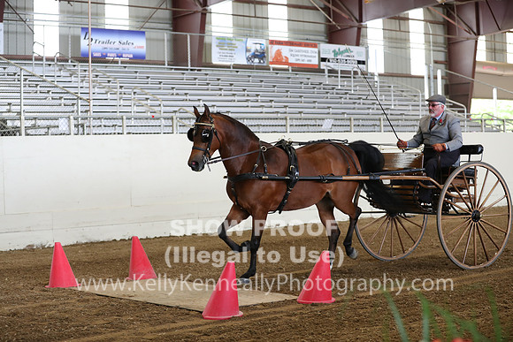 CA_Springfest19_SatAM_0789