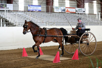 CA_Springfest19_SatAM_0790