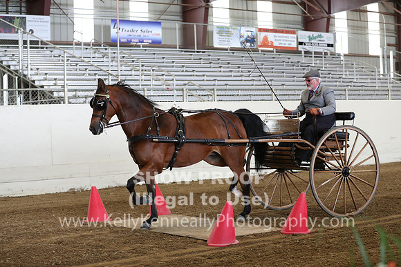 CA_Springfest19_SatAM_0790