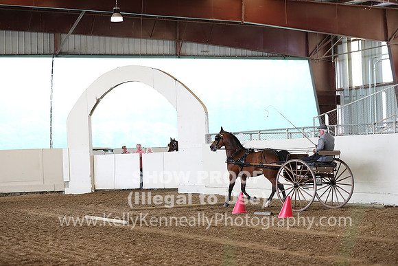 CA_Springfest19_SatAM_0791