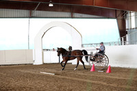 CA_Springfest19_SatAM_0793