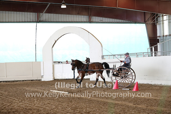 CA_Springfest19_SatAM_0793
