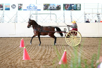 CA_Springfest19_SatAM_1539
