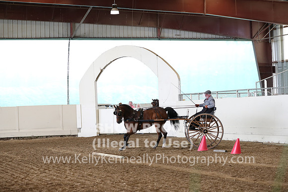 CA_Springfest19_SatAM_0794