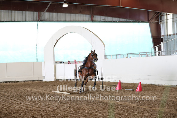 CA_Springfest19_SatAM_0797