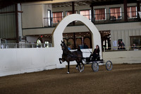 Class 67 ASB Fine Harness Championship