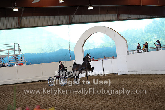 CA_Springfest19_SatPM_1667