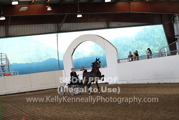 CA_Springfest19_SatPM_1668