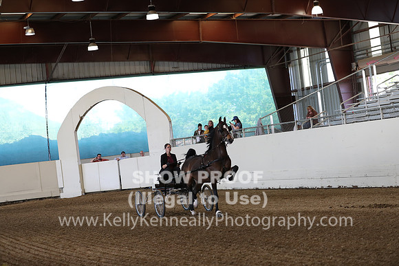 CA_Springfest19_SatPM_1669