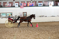 CA_Springfest19_SatAM_1550