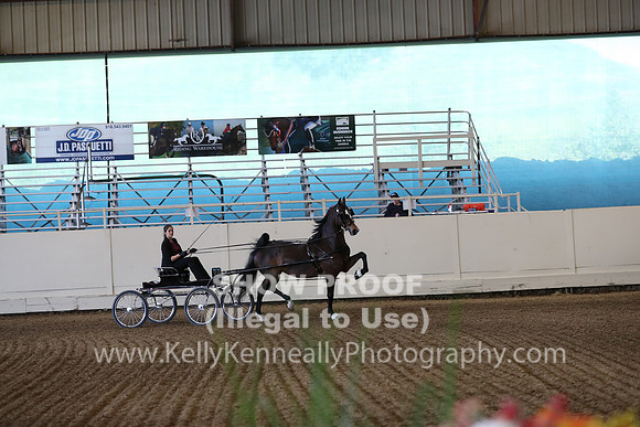 CA_Springfest19_SatPM_1673