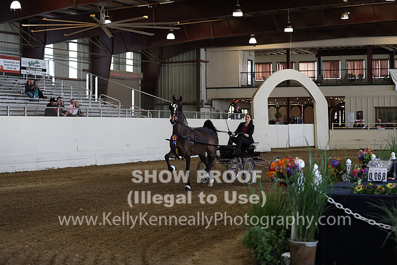 CA_Springfest19_SatPM_1677