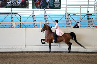 Class 72 Morgan English Pleasure Championship