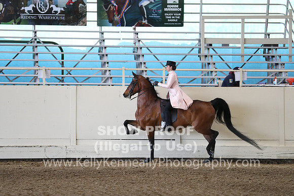 CA_Springfest19_SatPM_1846