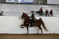 CA_Springfest19_SatPM_1913