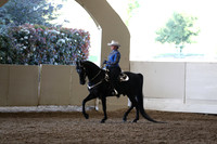 Class 76 Open Western Pleasure Opportunity Stake