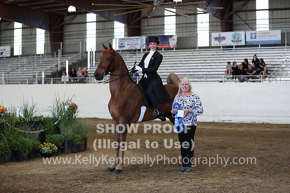 CA_Springfest19_SatPM_2029