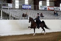 CA_Springfest19_SatPM_1915