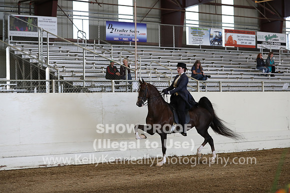 CA_Springfest19_SatPM_1915