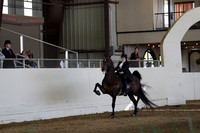 CA_Springfest19_SatPM_1921