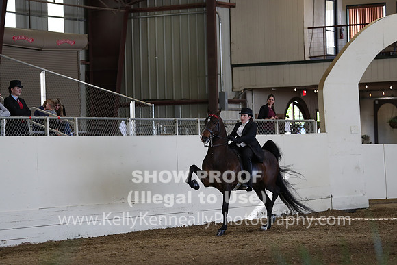 CA_Springfest19_SatPM_1921