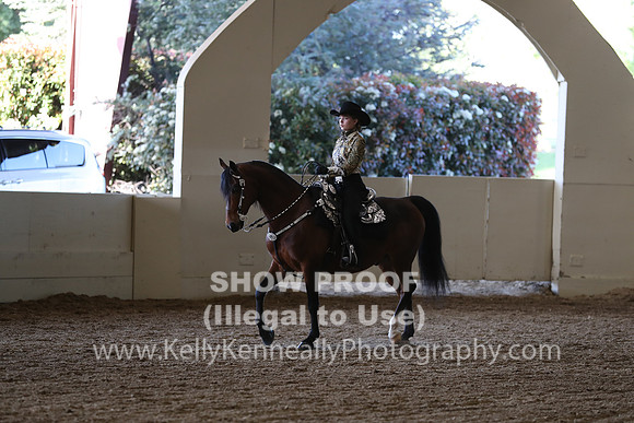 CA_Springfest19_SatPM_2275