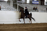 CA_Springfest19_SatPM_2067