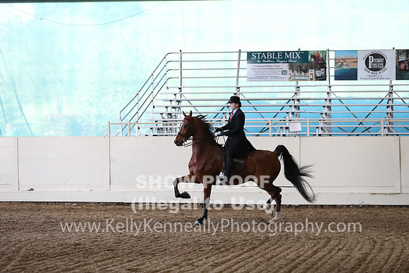 CA_Springfest19_SatPM_2307