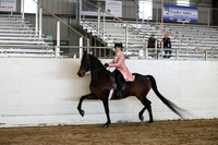 CA_Springfest19_SatPM_2365
