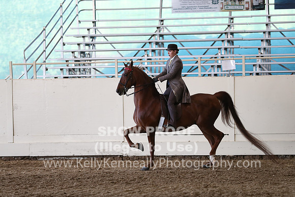 CA_Springfest19_SatPM_2310
