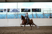 CA_Springfest19_SatPM_2312