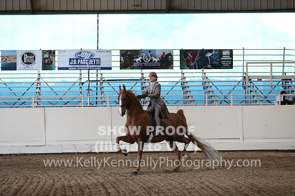 CA_Springfest19_SatPM_2312