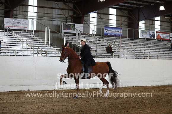 CA_Springfest19_SatPM_2319