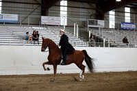 CA_Springfest19_SatPM_2320