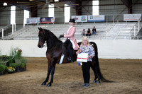 CA_Springfest19_SatPM_2375