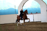 CA_Springfest19_SatPM_2329