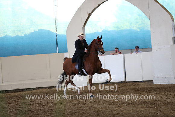 CA_Springfest19_SatPM_2329
