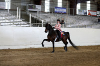 CA_Springfest19_SatPM_2391