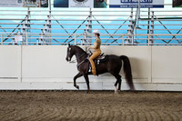 Class 80 Morgan Hunt Seat Equitation