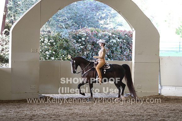 CA_Springfest19_SatPM_2407