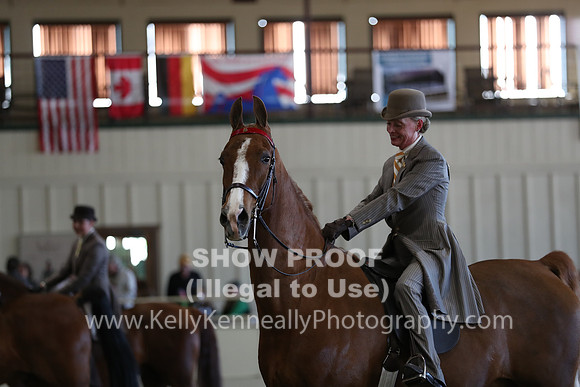 CA_Springfest19_SatPM_2342
