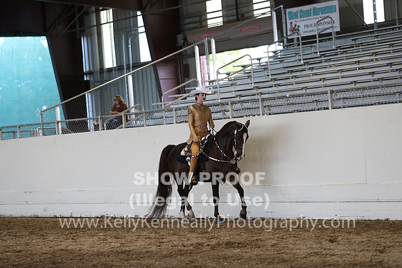 CA_Springfest19_SatPM_2411