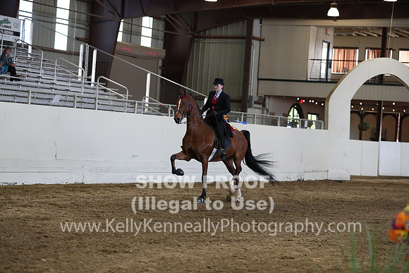 CA_Springfest19_SatPM_2348