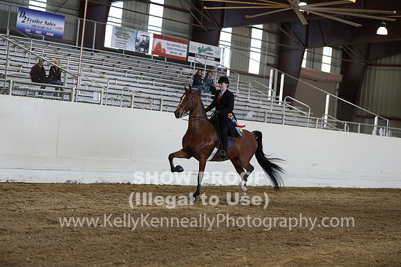 CA_Springfest19_SatPM_2350