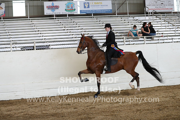 CA_Springfest19_SatPM_2354